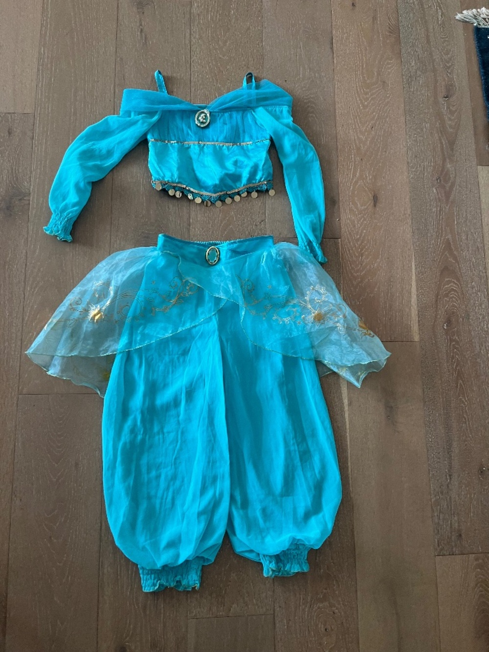 Jasmine costume size 78